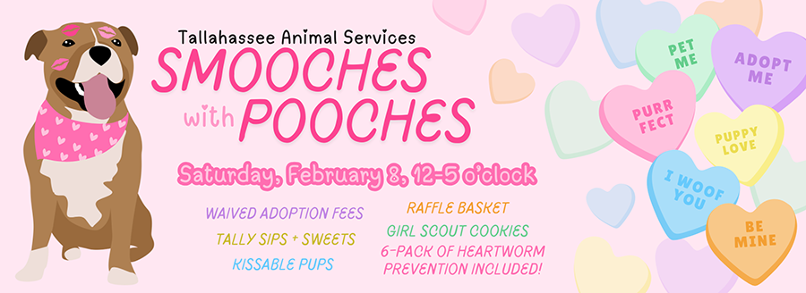 Select this link to explore the news release about the Smooches with Pooches event, coming Saturday, February 8 from 12:00-5:00pm